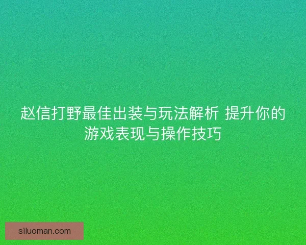 赵信打野最佳出装与玩法解析 提升你的游戏表现与操作技巧