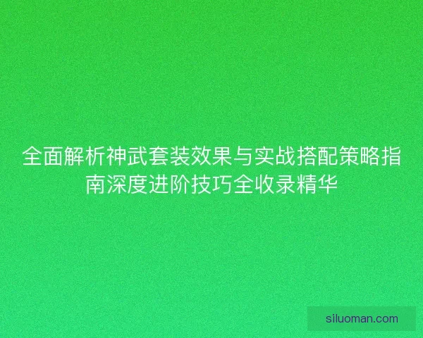 全面解析神武套装效果与实战搭配策略指南深度进阶技巧全收录精华